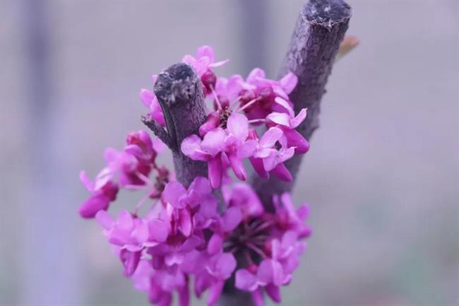 微信图片_20210406134140.jpg 微信图片_20210406134140.jpg